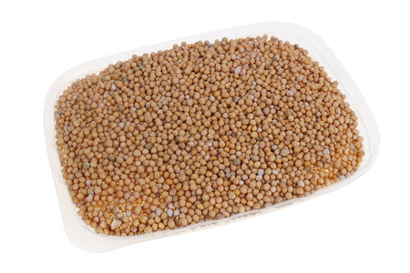 Mustard spice plant   seeds in plastic  box isolated   studio macroの写真素材