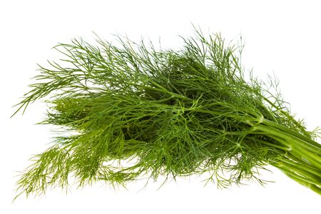 bunch of fresh fennel, isolated on white backgroundの写真素材
