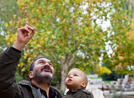 grandfather holding a child  in a park is pointing upの写真素材