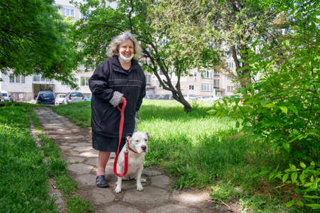 Elderly Woman Smiling on a Walk with a Dog on Leashの写真素材