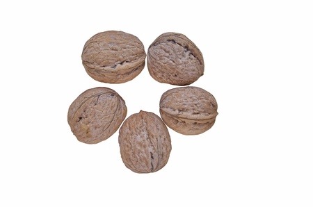 Ripe walnuts fruit isolated on white background