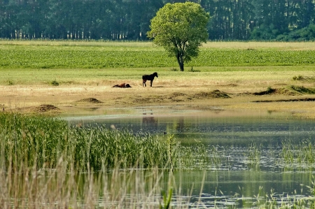 Kerkini lake and mountain ecoarea at nord Greeceの写真素材