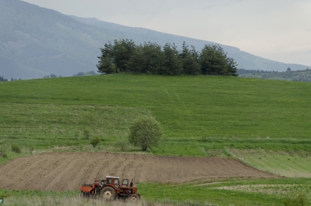 Beautiful landscape in mountain rural area with potato fieldの写真素材