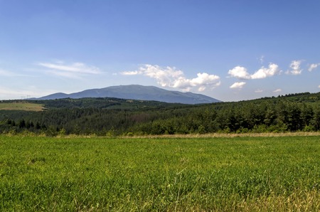 Background of sky, clouds, field, mountain  and forest, Plana mountain, Vitosha, Bulgariaの写真素材