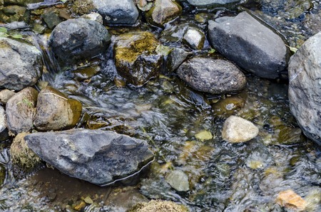 Beautiful motion blurred water stream landscape in the green forest, Vitosha mountain, Bulgariaの写真素材