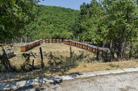 Part of farmyard with apiary at  Batkun Monastery St. St. Peter and Paul , Pazardzhik, Rhodope,...