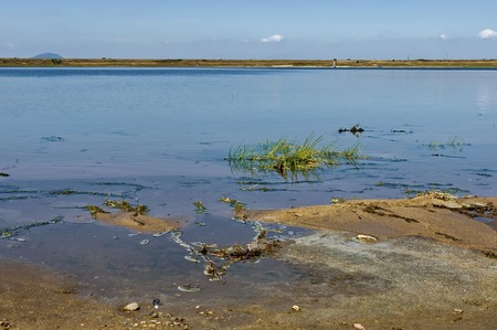 Shore at Rabisha  lake near by Magura cave, Belogradchik, Bulgariaの写真素材