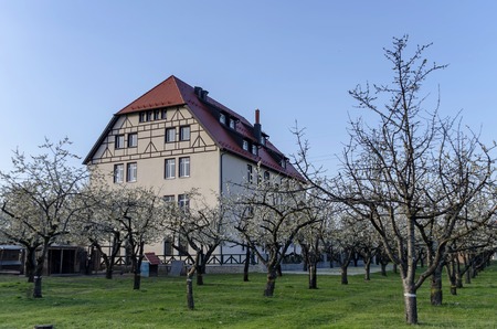 Cherry orchard in blossom through springtime with building, Pancharevo, Bulgariaのeditorial素材