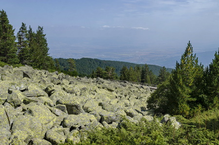 Unique stone river big granite stones on rocky river in the Vitosha National Park Mountain , Bulgariaの写真素材