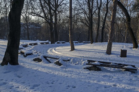 Winter scene with park bench, Sofia, Bulgariaの写真素材