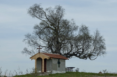 Beautiful  landscape with springtime venerable birch tree and old chapel, located in Plana mountain, Bulgariaの写真素材