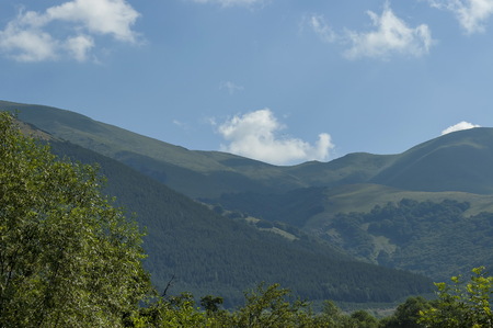 Majestic mountain top overgrown with coniferous forest, valley and grass glade, Central Balkan...