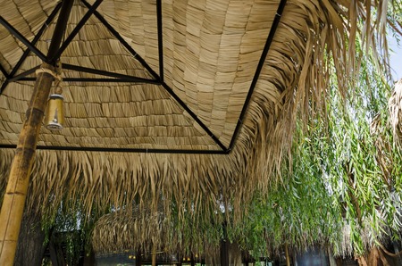 Cosy nook for summer relaxation with friend below palm sunshade close up in inside, park  Borisova gradina, Sofia, Bulgariaの写真素材