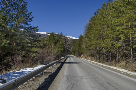 Winter panorama landscape of pine and deciduous forest with road in Vitosha mountain, Bulgaria