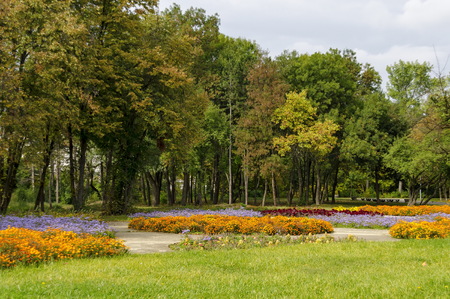 Popular  North park  for rest with autumnal old forest, wooden bench and flower garden in  Vrabnitsa district, Sofia,   Bulgariaの写真素材