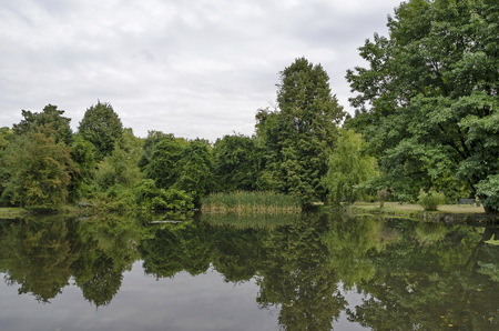 Forest, lake with reflection, reed or phragmites and water lily in National monument of landscape architecture Park museum Vrana in former time royal palace on the outskirts of Sofia, Bulgaria, Europeの写真素材