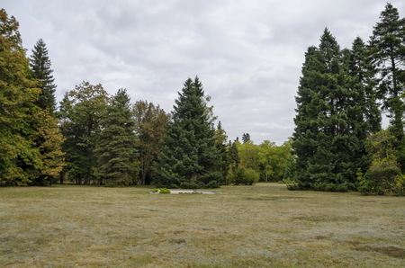 View toward forest and glade in National monument of landscape architecture Park museum Vrana in former time royal palace on the outskirts of Sofia, Bulgaria, Europeのeditorial素材