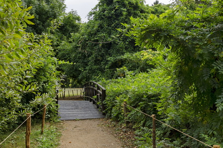 Forest, path and bridge in National monument of landscape architecture Park museum Vrana in former time royal palace on the outskirts of Sofia, Bulgaria, Europeのeditorial素材