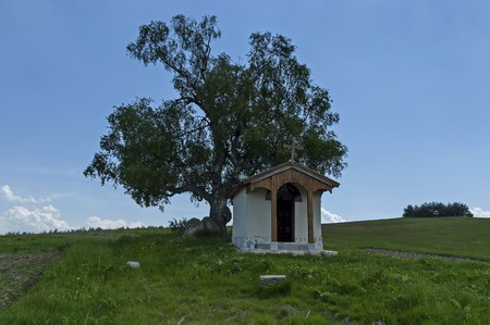 Beautiful  landscape with summer venerable birch tree and old chapel, located in Plana mountain, Bulgariaの写真素材