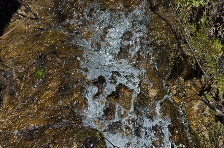 Background of natural moss, ice water, rock and dry leaves in Vit river, town Teteven, Bulgaria