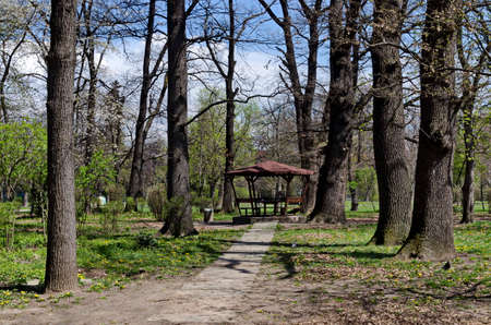 Wooden benches and table in  alcove on a meadow in the forest at natural park, Sofia, Bulgariaの写真素材