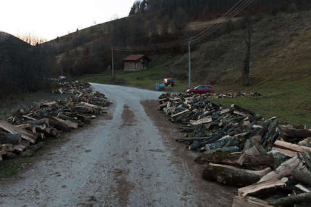 View of a pile of logs against the backdrop of a logging forest near the village of Vasiliovo,...