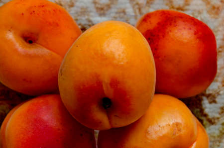 Group of ripe apricot fruits, can be used as a background, Sofia, Bulgariaの写真素材