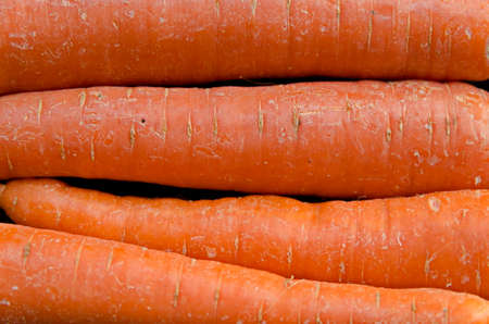 Close-up of a pile of orange carrots in a market, Sofia, Bulgaria