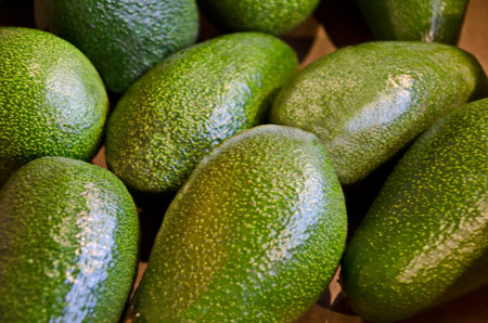 Background from a pile of fresh, ripe avocado fruits, Sofia, Bulgaria