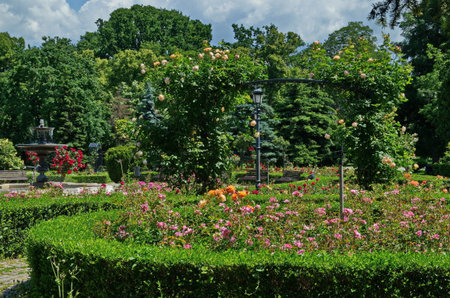 A beautiful relaxation area with a bench, a fountain and multi-colored bushes in bloom in the rose garden, Sofia, Bulgariaの写真素材