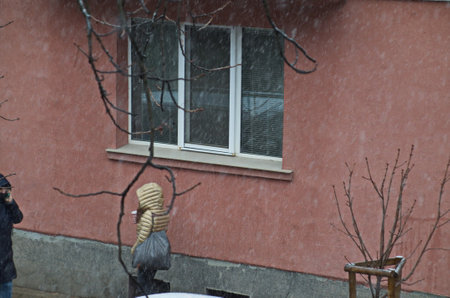 Moment of storm with strong wind and heavy snowfall on the street, as walks continue, Sofia, Bulgariaの写真素材