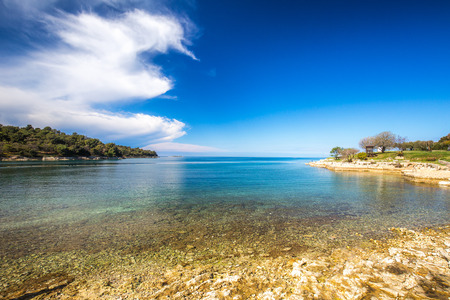Green lagoon near Porec town on the Adriatic sea coast, Croatia, Europe.の写真素材