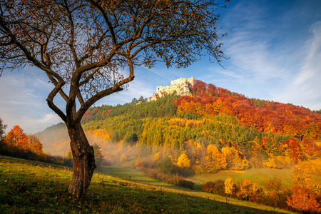 Autumn landscape with medieval castle Lietava near Zilina town, Slovakia, Europe.のeditorial素材
