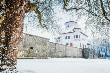 Medieval castle Budatin nearby Zilina town in winter, central Europe, Slovakia.のeditorial素材