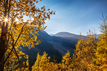 Mountain landscape at autumn, the area of Rohace in Tatras National Park, Slovakia, Europe.の写真素材
