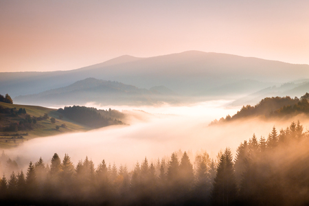 Autumn landscape, foggy morning in the region of Orava, Slovakia, Europe.の写真素材
