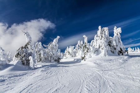 Beautiful scenery of the snowy winter landscape. View from Kubinska hola mountain in Slovakia, Europe.の写真素材