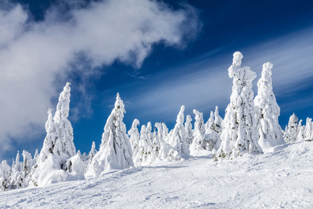 Beautiful scenery of the snowy winter landscape. View from Kubinska hola mountain in Slovakia, Europe.の写真素材