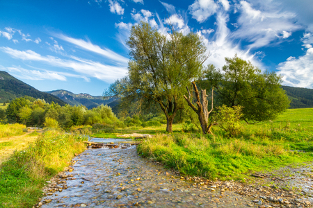 Sunny landscape with a creek flowing from mountains and blue sky with clouds in the background, national park Mala Fatra, Slovakia.の写真素材