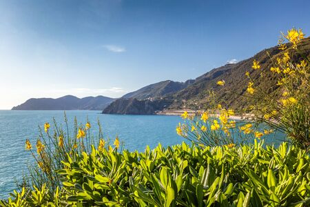 The Ligurian Sea and coast near of the famous Cinque Terre towns, Italy.の写真素材
