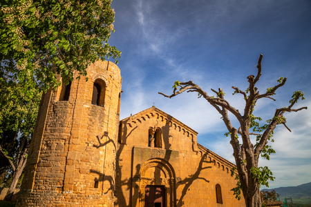 The shadows of a tree at a setting on the facade of La Pieve di Corsignano, Italy.のeditorial素材