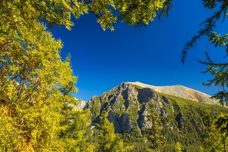 Mountain landscape at autumn season, High Tatras National Park, Slovakia, Europe.の写真素材