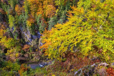 Mountain landscape in autumn day. View into the gorge on hiking trail through Kvacianska valley, Slovakia, Europe.の写真素材
