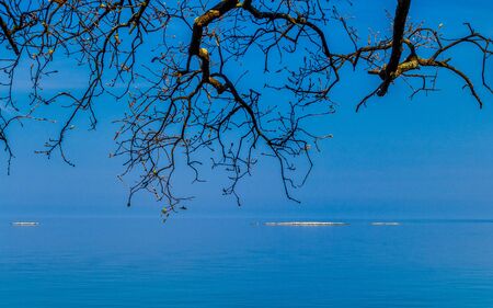 View of a calm sea. The Green lagoon on the Adriatic sea near Porec town, Croatia, Europe.の写真素材