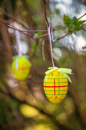 Easter eggs hanging on a branches outdoor.