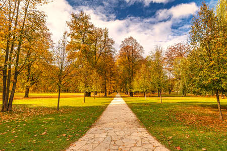 Trees in an autumn park during a sunny day.Castle park Budatin in Zilina, Slovakia, Europe.のeditorial素材
