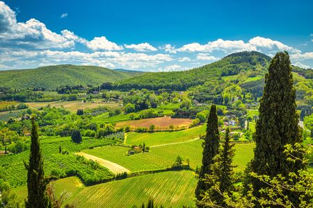 Landscape with a cypresses in Val d'Orcia region of Tuscany in spring time, Italy.の写真素材
