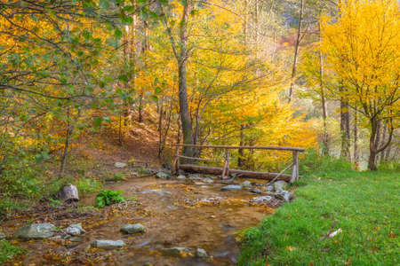 Wooden bridge over stream in a forest at autumn. The Mala Fatra national park, Slovakia, Europe.