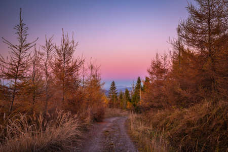 Rural landscape with dirt road. Hills and forests in autumn colors at sunset.の写真素材
