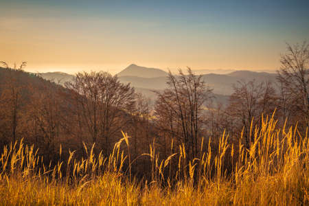 Rural landscape with hills and forests in autumn colors at sunset.の写真素材